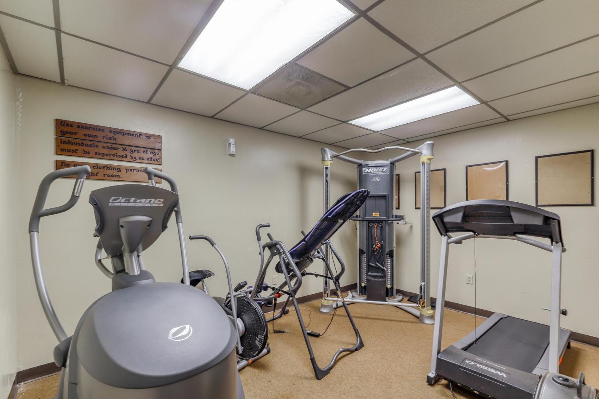 Pinnacle Beech Mountain Rom bilde