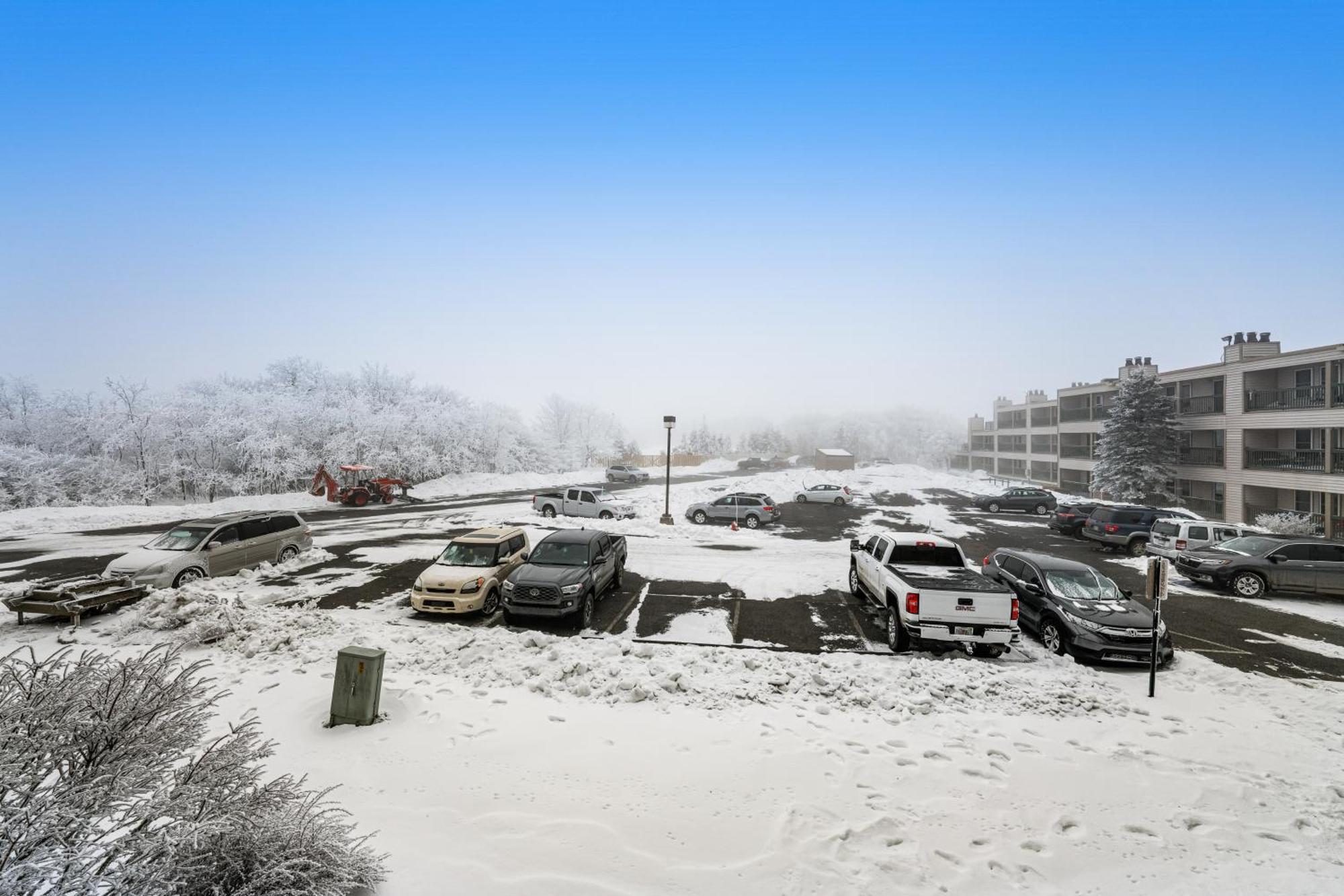 Pinnacle Beech Mountain Rom bilde