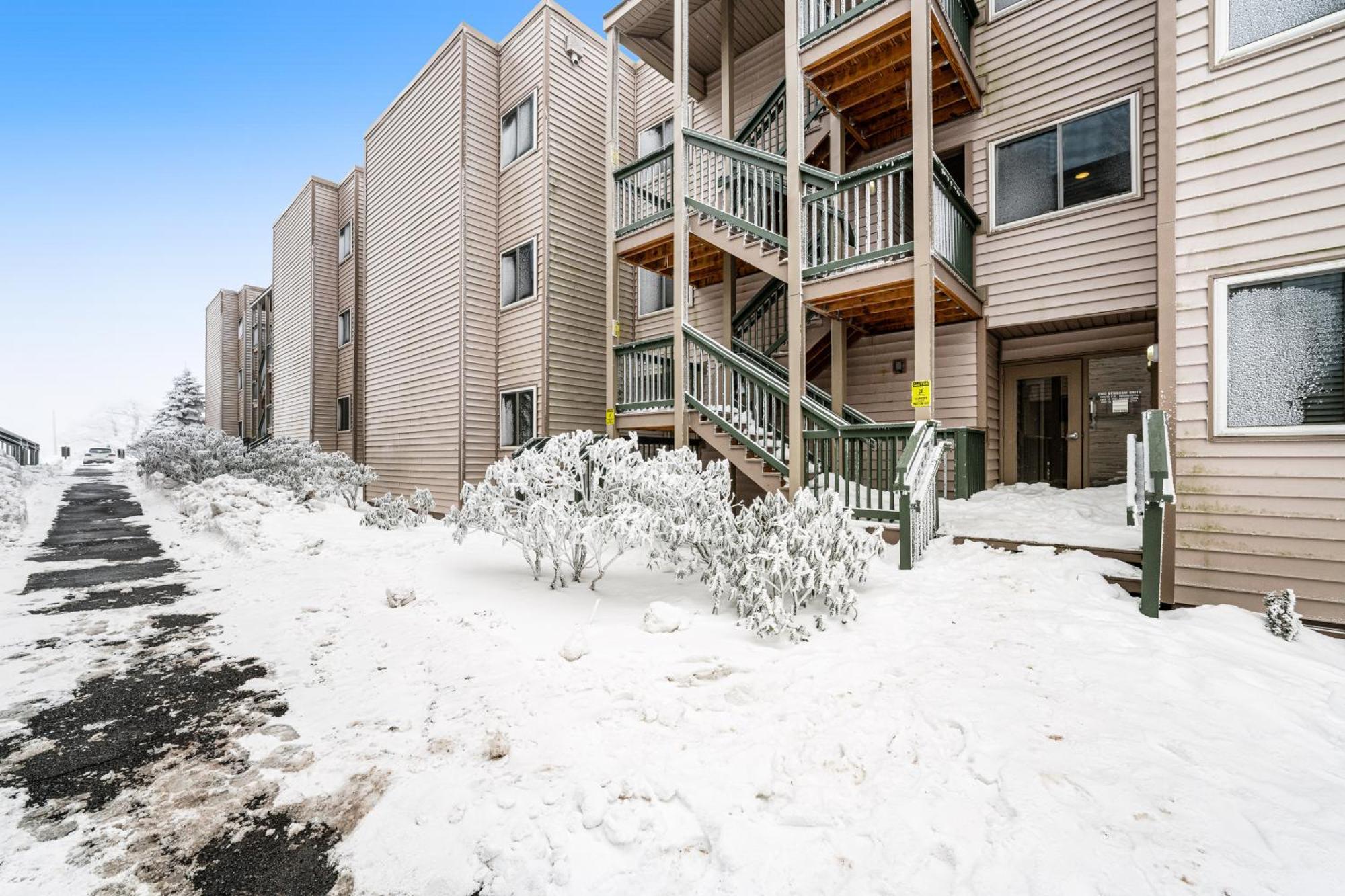 Pinnacle Beech Mountain Rom bilde